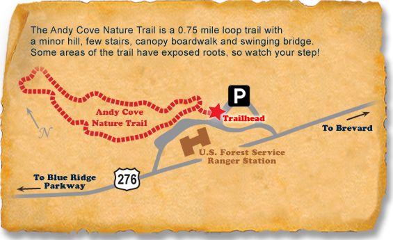 Andy Cove TRACK Trail map