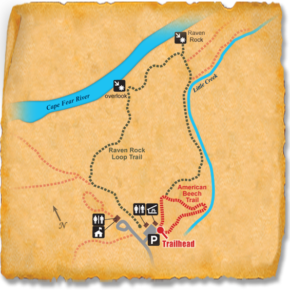 Map of TRACK Trail at Raven Rock State Park