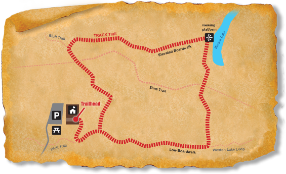 Map of TRACK Trail at Congaree National Park
