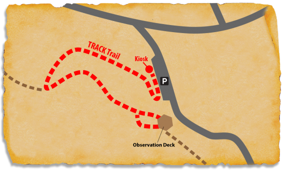 Map of CCC NCF-24 TRACK Trail