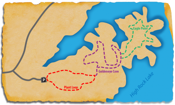 TRACK Trail Map at Eagle Point Nature Preserve