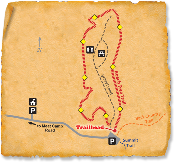 Map of TRACK Trail at Elk Knob State Park