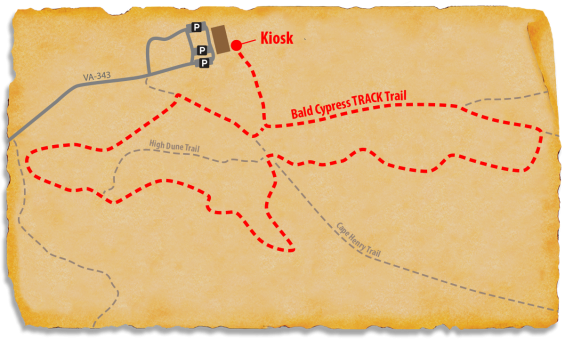 First Landing Trail Map First Landing State Park | Kids In Parks