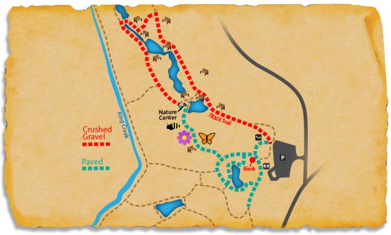 Map of TRACK Trail at The Park at Flat Rock