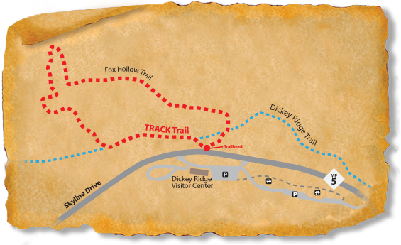 Map of the Fox Hollow TRACK Trail