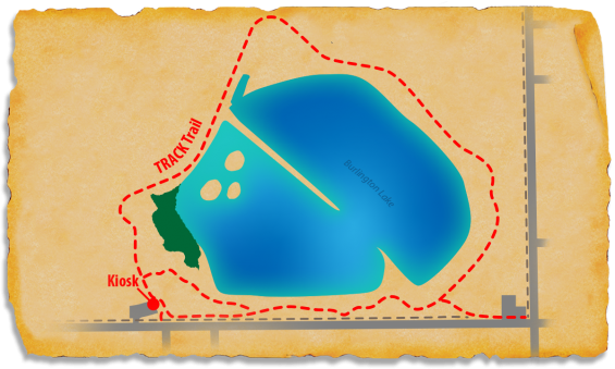 Map of McManamen Park TRACK Trail