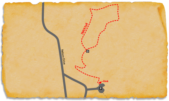 TRACK Trail Map of Nelson Knoll