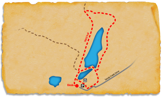 Map of Sandy Creek Park TRACK Trail