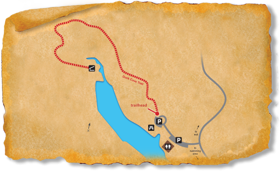 Map of TRACK Trail at Beaverdam Recreation Area - Falls Lake