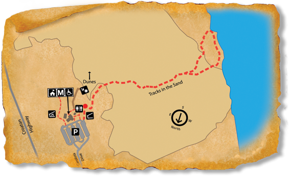 Map of TRACK Trail at Jockey's Ridge State Park