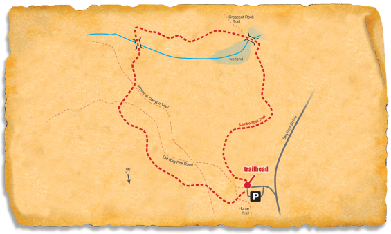 Map of TRACK Trail at Shenandoah National Park's Limberlost Trail