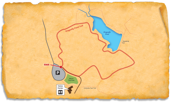 Reedy Creek Nature Preserve | Kids in Parks