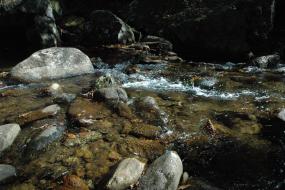 Small waterfall in a stream
