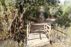 Wooden bridge over a small stream