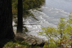 Riffles in the river