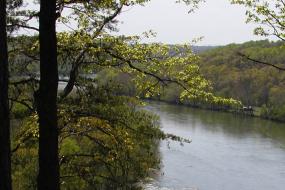 River from an overlook
