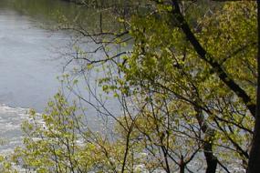 Overlook of the river