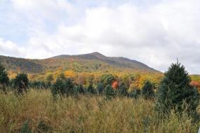 Mount Jefferson dressed in fall colors