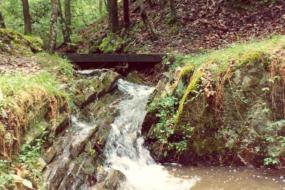 Small waterfall flowing under a wooden bridge