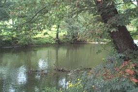 North Toe River