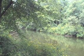 North Toe River