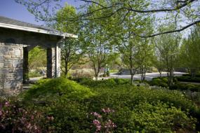 View of the parking lot
