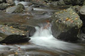 Small waterfall in a stream