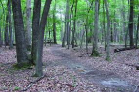 Claytor lake trail