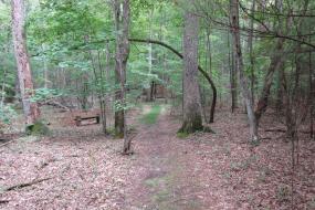 Claytor lake TRACK Trail