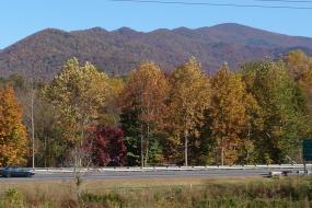 Mountain views from park