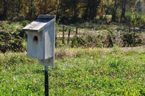 Birdhouse at the community garden