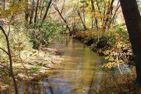 Swannanoa River in Fall
