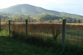 View of the Ragged Mountains behind fence row