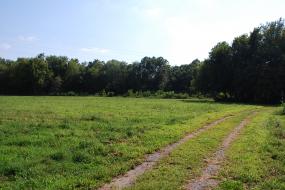 Tire path through field