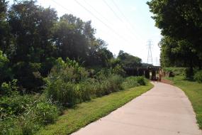 Paved path leading under a bridge