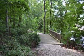 Wooden bridge over a Cape Fear River tributary