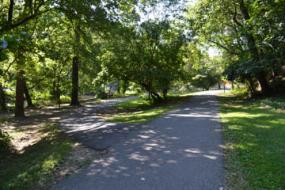 Fork in a paved path