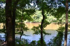 View of the Cape Fear River through the trees
