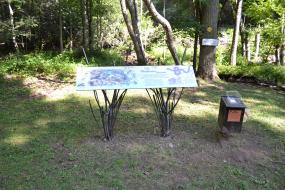 Interpretative sign about life in a mountain stream