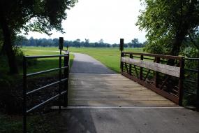 Bridge over creek