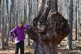 woman leaning on a large tree with a large knot