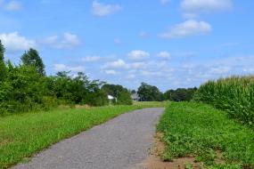 Gravel path through farm fields