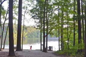 Gravel path down to lake