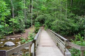 Wooden bridge over stream