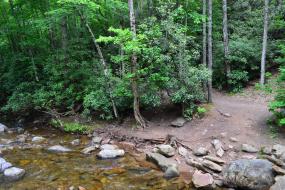 Trail along rocky stream