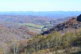 Mountain top view of grayson highlands