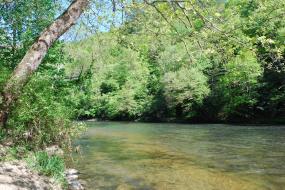 The New River