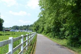 Fence lining the path