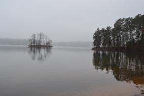 Island in the misty lake