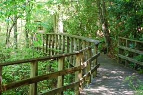 Bridge